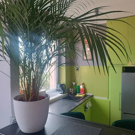 Dlugie Ogrody 2 Pokojowy