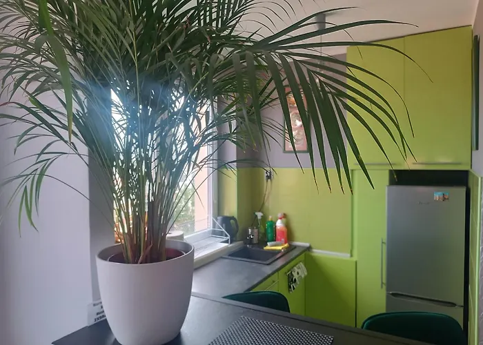 Dlugie Ogrody 2 Pokojowy